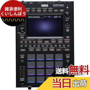 �y���������zKORG �R���O �I�[���C�������EDJ�p�t�H�[�}���X�E�c�[�� KAOSS Replay DJ�p�G�t�F�N�^�[/�T���v���[ �F�F�u���b�N