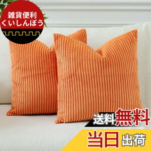 �y���������zOtostar �N�b�V�����J�o�[ xcm �k�� 2���Z�b�g �R�[���e�� �X�g���C�v ������� ���� ���_�� �t�@�X�i�[ �C���e���A �\�t�@�[�p�N�b�V�����J�o�[ �F�F�I�����W�A�T�C�Y�F55cmx55cm(