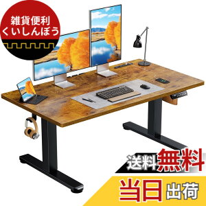 �y���������zErGear �d�� ���~���f�X�N ���[�^�C�v �F�F�r���e�[�W�A�T�C�Y�F120*60cm