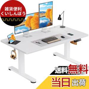 �y���������zErGear �d�� ���~���f�X�N ���[�^�C�v �F�F�z���C�g�A�T�C�Y�F120*60cm