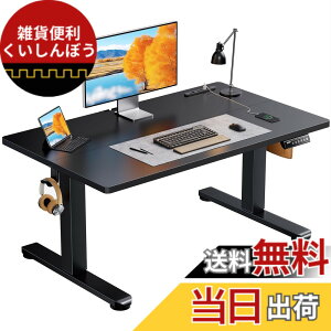 �y���������zErGear �d�� ���~���f�X�N ���[�^�C�v �F�F�u���b�N�A�T�C�Y�F100*60cm