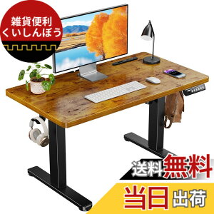 �y���������zErGear �d�� ���~���f�X�N ���[�^�C�v �F�F�r���e�[�W�A�T�C�Y�F90*50cm