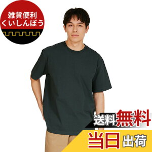 �y���������zHanes �r�[�t�B�[ T�V���c�r�[�t�B�[ T�V���c BEEFY-T 1���g ��100% �������n �w�r�[�E�F�C�gT H5180�����Y �F�F�_�[�N�O���[���A�T�C�Y�FM