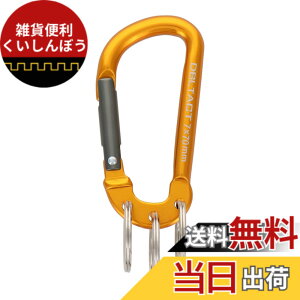 �y���������z�O���R�[�|���[�V���� DBLTACT �A���~�J���r�i �L�[�����O�t 2�A �F�F�S�[���hx�K�����^�V���o�[�A�T�C�Y�F3�A