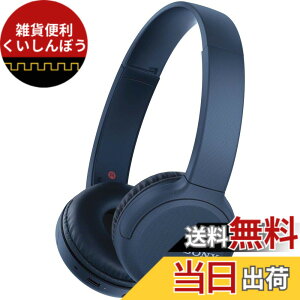 �y���������z�\�j�[ ���C�����X�w�b�h�z�� WH-CH510 / bluetooth / AAC�Ή� / �ő�35���ԘA���Đ� 2019�N���f�� / �}�C�N�t�� /�u���[ WH-CH510 L �F�F�u���[�A�T�C�Y�F1�� (x 1)
