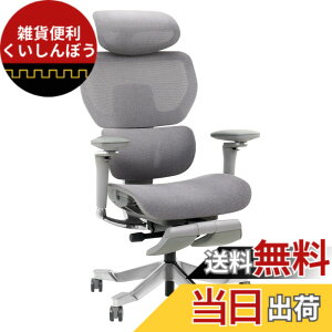 �y���������zFLEXISPOT �I�t�B�X�`�F�A �f�X�N�`�F�A C7 �l�ԍH�w �G���S�m�~�N�X�`�F�A ���b�V���`�F�A �X���C�h�o�b�N�@�\ �O�X�p���ɑΉ� �w������̍������� ��C�������o�[�T�|�[�g �S��