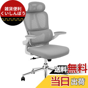 �y���������zFLEXISPOT �I�t�B�X�`�F�A �f�X�N�`�F�A OC6 �l�ԍH�w ���b�V���`�F�A �Ɨ��^�����o�[�T�|�[�g ���b�L���O���� ���яグ���A�[�����X�g 2D�w�b�h���X�g �ݑ�Ζ� ��c�� �I�t�B�X