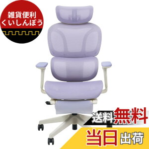 �y���������zFLEXISPOT �I�t�B�X�`�F�A �f�X�N�`�F�A C7 �l�ԍH�w �G���S�m�~�N�X�`�F�A ���b�V���`�F�A �Ɨ��^�����o�[�T�|�[�g ���N���C�j���O�\ �V���N�����b�L���O ���ʉ��s�����\ 2D