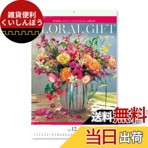 �y���������z�V���{�J�����_�[ �� �F�FNK408