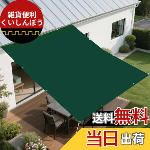 �y���������zBIGLOONG �������V�F�[�h ���悯 �����΍� �J���������h�� �T���V�F�[�h 400D�|���G�X�e�� �n�g�������xUP PU�h�� ���O��UV�J�b�g �x�����_ �I�[�j���O �Ő� �뉀 �v�[�� �r �f�b�L 
