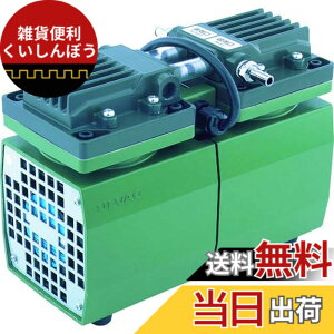 �y���������z�A���o�b�N(Ulvac) DA-40S�P��200V �_�C�A�t�����^�h���C�^��|���v �r�C���x40/46 DA-40S 200V �T�C�Y�F175x310x255mm