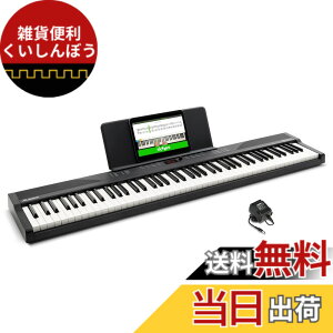 �y���������zAlesis �d�q�s�A�m 88���� Recital Play & Recital Black �F�F�P�i�A�u���b�N�A�T�C�Y�F�P�i