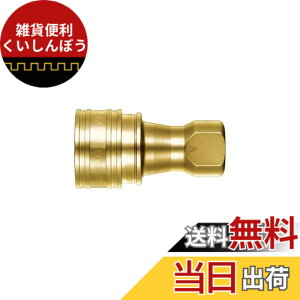 �y���������z�����H��(Nitto Kohki) SP-V�J�v��TypeA 2S-V-A BRASS FKM �F�F�S�[���h�A�T�C�Y�FR1/4