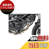 楽天市場】hepco＆becker エンジンガード sv650の通販