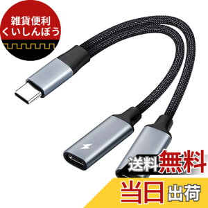 �y���������z2in1 �^�C�vC�����[�d�C���z���ϊ��P�[�u�� Type-C�C���z���W���b�NUSB C PD�[�d�A�_�v�^ �����ʘb/���ʒ���/���y�C���z�� ��� ���ϋv �i�C�����҂� �ڑ��P�[�u���Ή� Samsung S21/S20/G