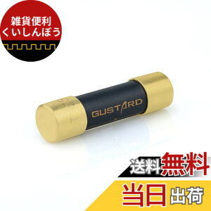 �y���������zGUSTARD HIFI�����p�q���[�Y �i�m�����n�C�G���h�q���[�Y DR70/R30/X30/R26 II/X26 III/U26/S26/HP70/H26/A26/R26/ X26PRO/A22/H20/X20/X22 �ɑΉ� Gustard�q���[�Y fuse 3.15A �T�C�Y�F3.15A