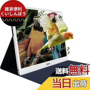 �y���������zBigme 13.3�C���` �d�q�y�[�p�[ �f�B�X�v���C ���j�^�[, �ڂɗD���� �F�F�z���C�g