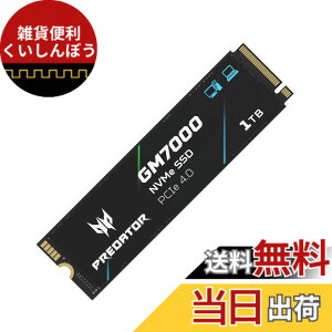 �y���������zAcer Predator �n�C�G���hSSD M.2 SSD DRAM�L���b�V������ GM7000 GM9000�V���[�Y �F�F�u���b�N�A�T�C�Y�F1TB