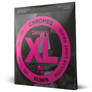 �y���������zD'Addario �_�_���I �G���L�x�[�X�� �t���b�g���E���h (���K�A���i) �F�F4���A�T�C�Y�F.045-.100 (Short)