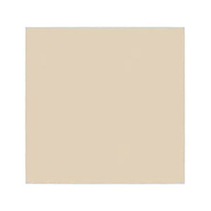 �y���������z�J�o�[�v���[�g(��t�g�t) WALL_PLATE �F�F�x�[�W���A�T�C�Y�F2�A�p