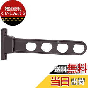 �y���������z����Z�� ���Ǘp������ 1�{/ �z�X�N���[�� �������� �z�X�N���[�� 2�{�g �F�F�_�[�N�u�����Y�A�T�C�Y�F450�~��