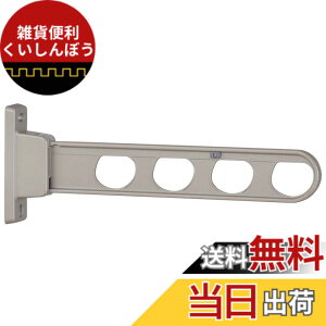 �y���������z����Z�� ���Ǘp������ 1�{/ �z�X�N���[�� �������� �z�X�N���[�� 2�{�g �F�F�X�e���J���[�A�T�C�Y�F450�~��