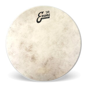 �y���������zEVANS �G���@���X �h�����w�b�h `56 Calftone Tom �y�������K�i�z �T�C�Y�F16
