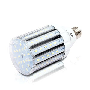 �y���������zlow watt led light bulbs �F�F25W CW�A�T�C�Y�F25W