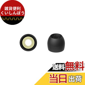 �y���������zJVC EP-FX10 �����p�C���[�s�[�X �F�F�u���b�N�A�T�C�Y�FS