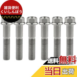 �y���������zRuifu M8x15 20 25 30 35 40 45 50 55 60 65mm �I�[�g�o�C ���������t�����W �Z�p�{���g �s�b�` 1.25mm 6���� �F�F�`�^���A�T�C�Y�FM8x40mm