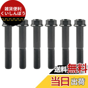 �y���������zRuifu M8x15 20 25 30 35 40 45 50 55 60 65mm �I�[�g�o�C ���������t�����W �Z�p�{���g �s�b�` 1.25mm 6���� �F�F�u���b�N�A�T�C�Y�FM8x45mm