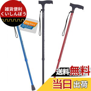 �y���������z�r�O�A���N�X�iBigAlex�j�X�e�b�L �� �L�k�X�e�b�L �L�k�� �y�� �A���~ ���������\ ���s�x�� ��ԎU�� �F�F�u���[�A�T�C�Y�F1�� (x 1)