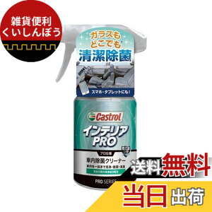�y���������zCastrol(�J�X�g���[��) PRO�V���[�Y �ԓ��N���[�i�[ �C���e���APRO 300ml �ȒP��@�����E���ہE���L