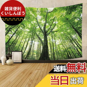 �y���������zTSW03287tapestry �F�F�O���[���A�T�C�Y�F����150 cm x ��100 cm