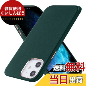 �y���������ziphone11pro/11/11promax �P�[�X �{�v VISOUL ���� �y�� �X�}�z�P�[�X �S�ʕی� ���F���� �F�F�O���[���A�T�C�Y�FiPhone 12 mini