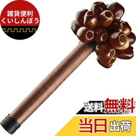 【送料無料】MEINL マイネル Sonic Energy Collection シェイカー 色：PALA(ナツメグ)