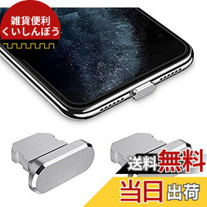 �y���������zWave Design�y ���� ���� �A���~�j�E�� �� �ی�L���b�v For iPhone �h�o �݊��� �z For iPad �h�o �ی� �J�o�[ �݊��� ���C�g�j���O�[�d�� �h�o �R�l�N�^ �_�X�g�v���O 2�� F.Wave �}�C�N