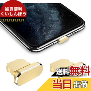 �y���������zWave Design�y ���� ���� �A���~�j�E�� �� �ی�L���b�v For iPhone �h�o �݊��� �z For iPad �h�o �ی� �J�o�[ �݊��� ���C�g�j���O�[�d�� �h�o �R�l�N�^ �_�X�g�v���O 2�� F.Wave �}�C�N
