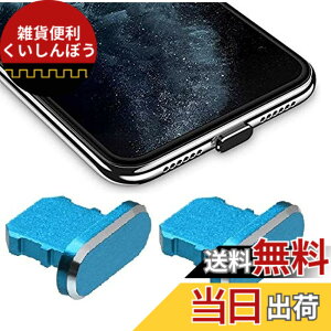 �y���������zWave Design�y ���� ���� �A���~�j�E�� �� �ی�L���b�v For iPhone �h�o �݊��� �z For iPad �h�o �ی� �J�o�[ �݊��� ���C�g�j���O�[�d�� �h�o �R�l�N�^ �_�X�g�v���O 2�� F.Wave �}�C�N