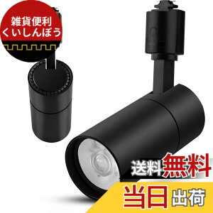 �y���������zled �X�|�b�g���C�g �B���O���[���p 100W���� ����̌^ �d���s�v ��t�ȒP �T�C�Y�F10W 5000K ����