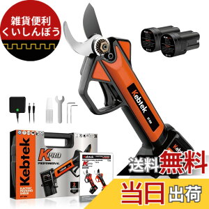 �y���������z�y�y��880g�E���{���t�b�f�n�zKebtek �d������o�T�~ 16.8V �R�[�h���X �[�d������΂��� 2500mAh���`�E���d�r2�t�� �d���}�؂��� �y0.4�b�����ؒf�z�v�� ������ ���| ���� �ʎ��� 