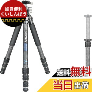 �y���������zINNOREL CT-�V���[�Y �J�����O�r �J�[�{���O�r ��჌�t�O�r �F�F�O�r�Ɖ_��L�b�g�A�T�C�Y�FCT75C