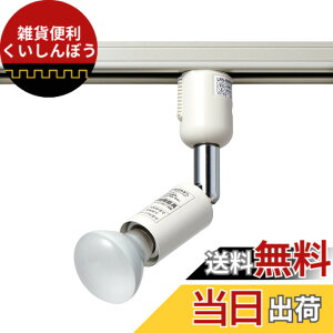 �y���������zELPA �G���p �_�N�g���[���p���C�g LRS-BMR40C(IV) ���C�e�B���O���[�� �Ɩ� �����d�� �F�F�A�C�{���[�A�T�C�Y�F����:E17