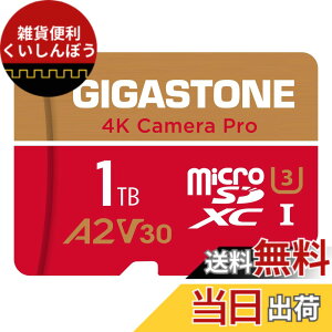 �y���������zGIGASTONE �}�C�N��sd�J�[�h 1TB-4-1 Core Group �F�F1TB Camera Pro 1���Z�b�g�A�T�C�Y�FPro Series
