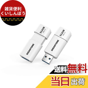 �y���������zUSBdrive Z40&Z60 1PK,5PK section1 �F�F����A�T�C�Y�F512GB 2�Z�b�g