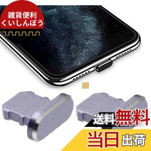 �y���������zWave Design�y ���� ���� �A���~�j�E�� �� �ی�L���b�v For iPhone �h�o �݊��� �z For iPad �h�o �ی� �J�o�[ �݊��� ���C�g�j���O�[�d�� �h�o �R�l�N�^ �_�X�g�v���O 2�� F.Wave �}�C�N