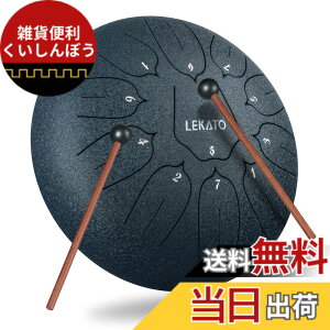 �y���������z�X���b�g�h���� �X�`�[���^���O�h���� LEKATO �����h���� 11�� 6�C���` �Ŋy�� �}���b�g ���[�o�b�O�t�� �ґz ���K �T �F�F�l�C�r�[�u���[ 10�C���`