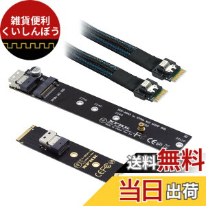 �y���������zXiwai NGFF M-Key NVME�I�X-���X�����P�[�u��40cm�ASFF-8654�R�l�N�^�A���C���{�[�hSSD 2280/22110�p �F�FBlack