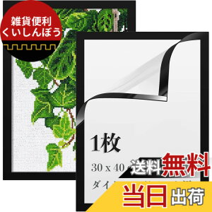 �y���������zLEADINTOP �_�C�������h�A�[�g �t�H�g�t���[�� 2�� �}�O�l�b�g�t�� 30 x 40 cm �_�C�������h�G��p �ǂ������Ȃ� ���ȔS���� �Ǌ|�� �f�B�X�v���C�t���[�� �ʐ^�t���[�� �\���� �|