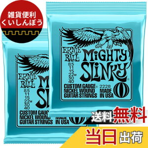�y���������z�y���K�i�z ERNIE BALL �G���L�M�^�[�� SLINKY �F�F�}�C�e�B�[(8.5-40)�A�T�C�Y�F8.5-40